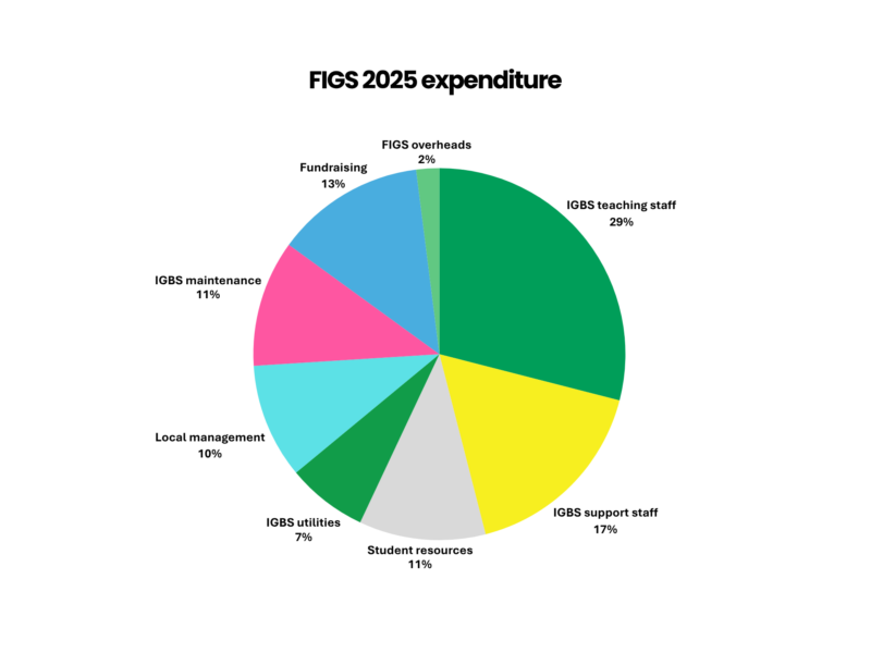 FIGS annual accounts